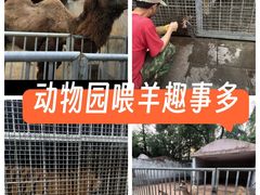 -郑州市动物园