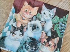 -李小姐の猫咖啡馆(五角场店)