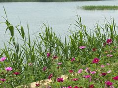 -苏州吴中太湖旅游区