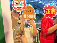 -圣淘沙天际线斜坡滑车
