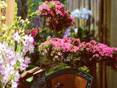 -The Flowers Coffee(南山店)