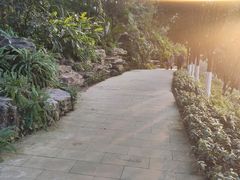 -龙头寺公园