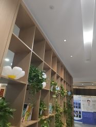 -碧莲盛·不剃发植发