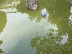 -宝通禅寺