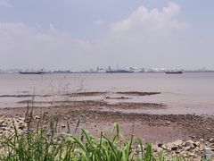 -海鸥岛