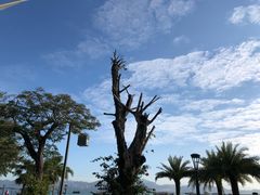 -贝克托马斯·德式烘焙传承(海上世界店)