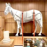 北京｜没人不爱的skp-s