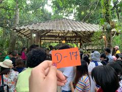 -Bamboo Saturday Market(Nana Jungle)