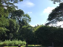 -新加坡飞禽公园