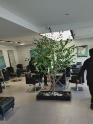 点击看大图 -付军剪艺JF ProSalon
