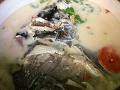 -全乐鱼馆·淳牌有机鱼直营店