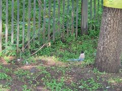 -黑龙江中医药大学