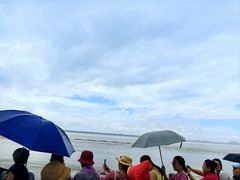 -观潮胜地公园
