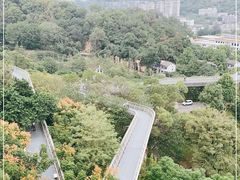 -福道