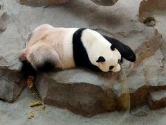 -宁波野生动物园