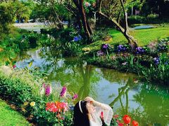 -人民公园(罗湖区)