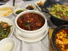 水煮牛肉-新蜀会四川豆花(五羊店)