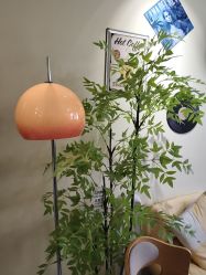 -变美丽半永久纹眉连锁·机器野生眉•洗眉