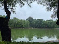 -团结湖公园