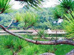 -荆川公园