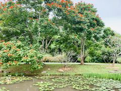 -中国科学院西双版纳热带植物园