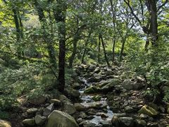 -崂山九水游览区