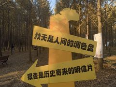 -汉景帝阳陵博物院