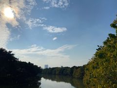 -海珠湖公园