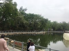-莲湖公园