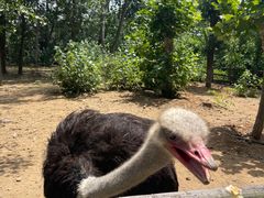 -大连森林动物园