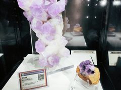 -中国地质大学逸夫博物馆
