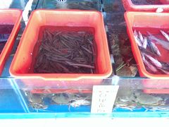 -沙头涌渔栏海鲜餐厅