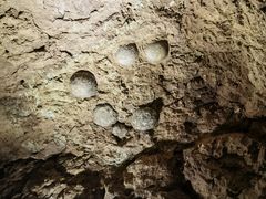 -西峡恐龙遗迹园