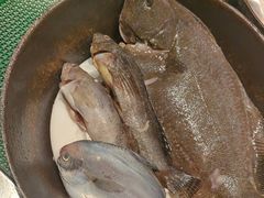 -码头鲜精致威海菜(欧乐坊店)