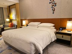 -广州奥园喜来登酒店