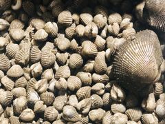 -无锡天鹏食品城