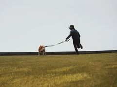 -上海月湖雕塑公园
