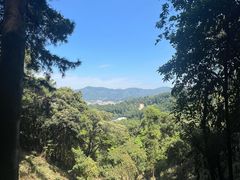 -火炉山森林公园