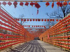 -北京凤凰岭