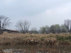 -良渚古城遗址公园
