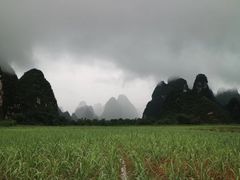 -明仕田园