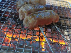 -河坝강뚝烧烤专门店(旗舰店)