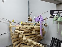 -吾叁·吉趣鸟咖(万科店)