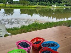 -金谷域澳洲庄园