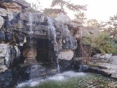 -燕郊植物园