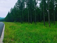 -塞罕坝国家级自然保护区