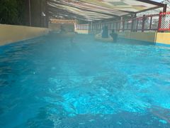 -上海玛雅海滩水公园