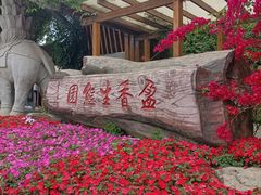 -盈香心动乐园