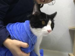 -谐和益家动物医院·免疫绝育·血液透析·宠保定点医院(高新伊藤分院)