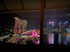 -新加坡丽思卡尔顿美年酒店